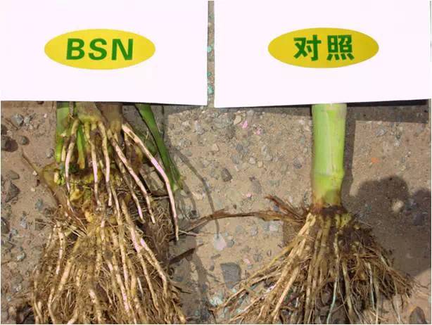 澳门新葡官网进入网站8883